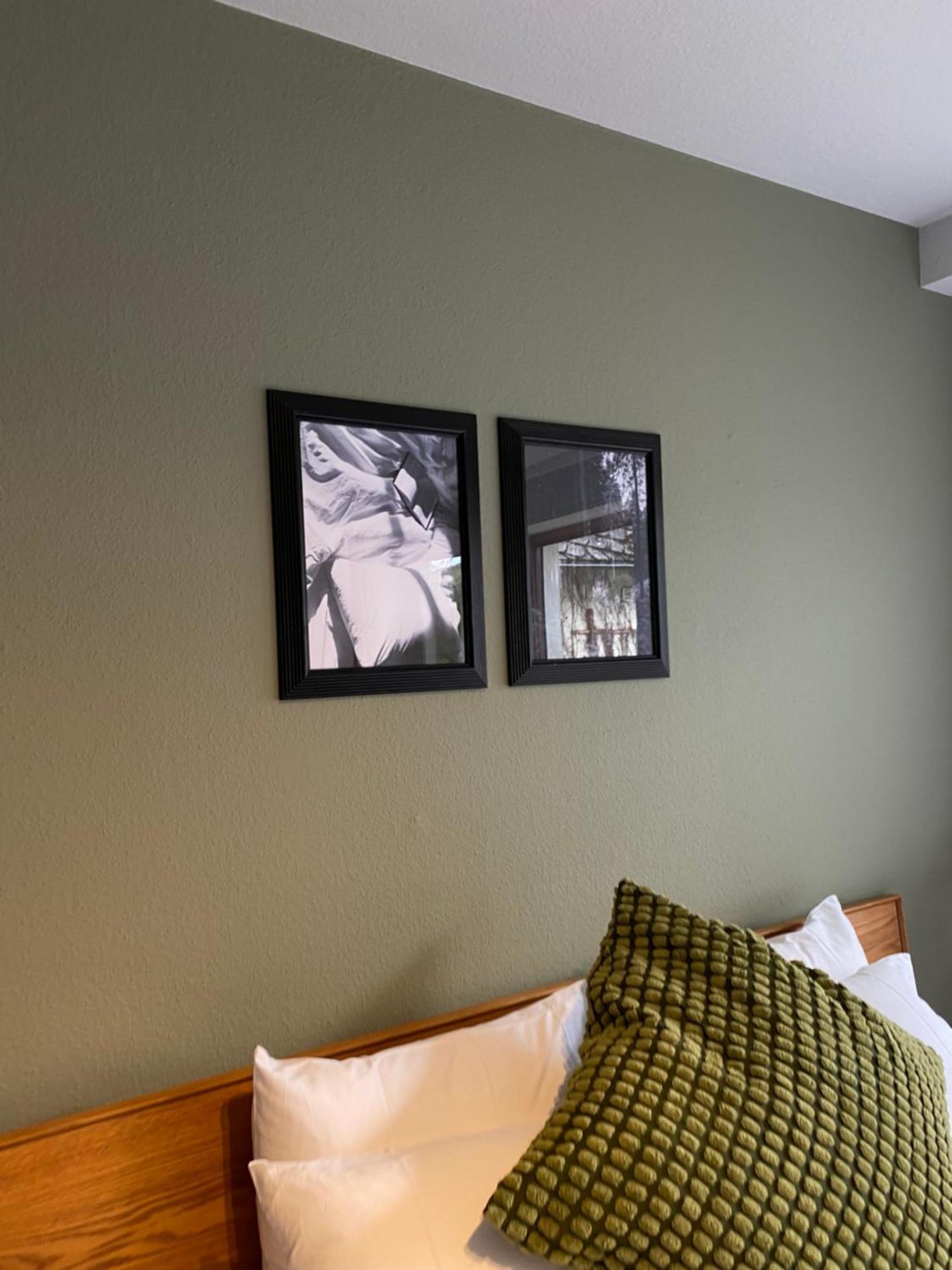 Black Forest Apartments Titisee Екстериор снимка