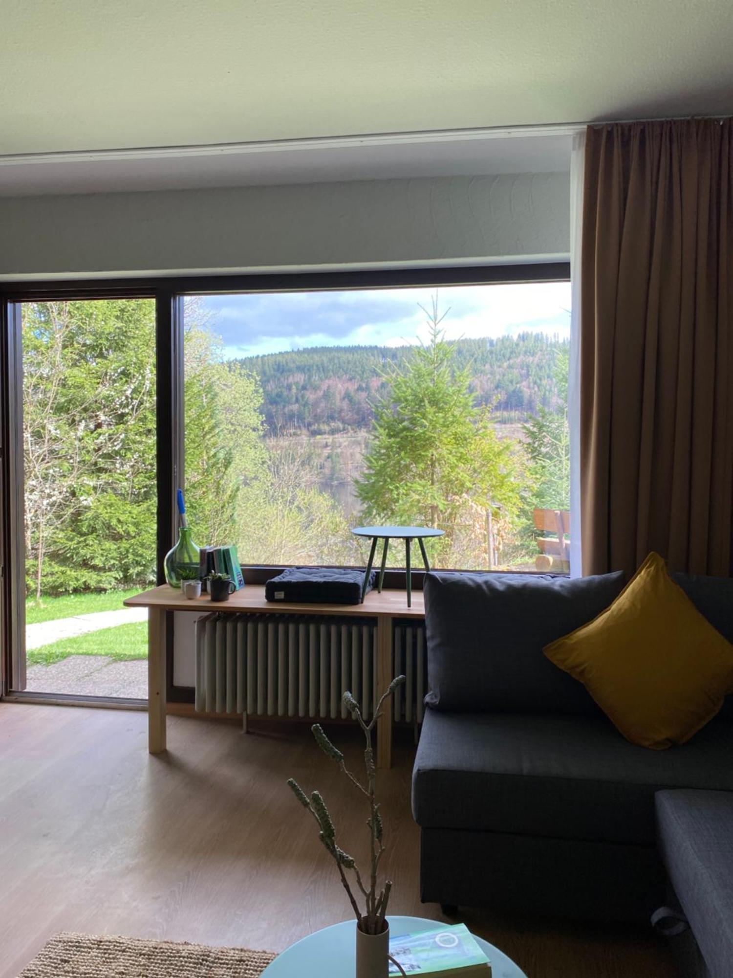 Black Forest Apartments Titisee Екстериор снимка
