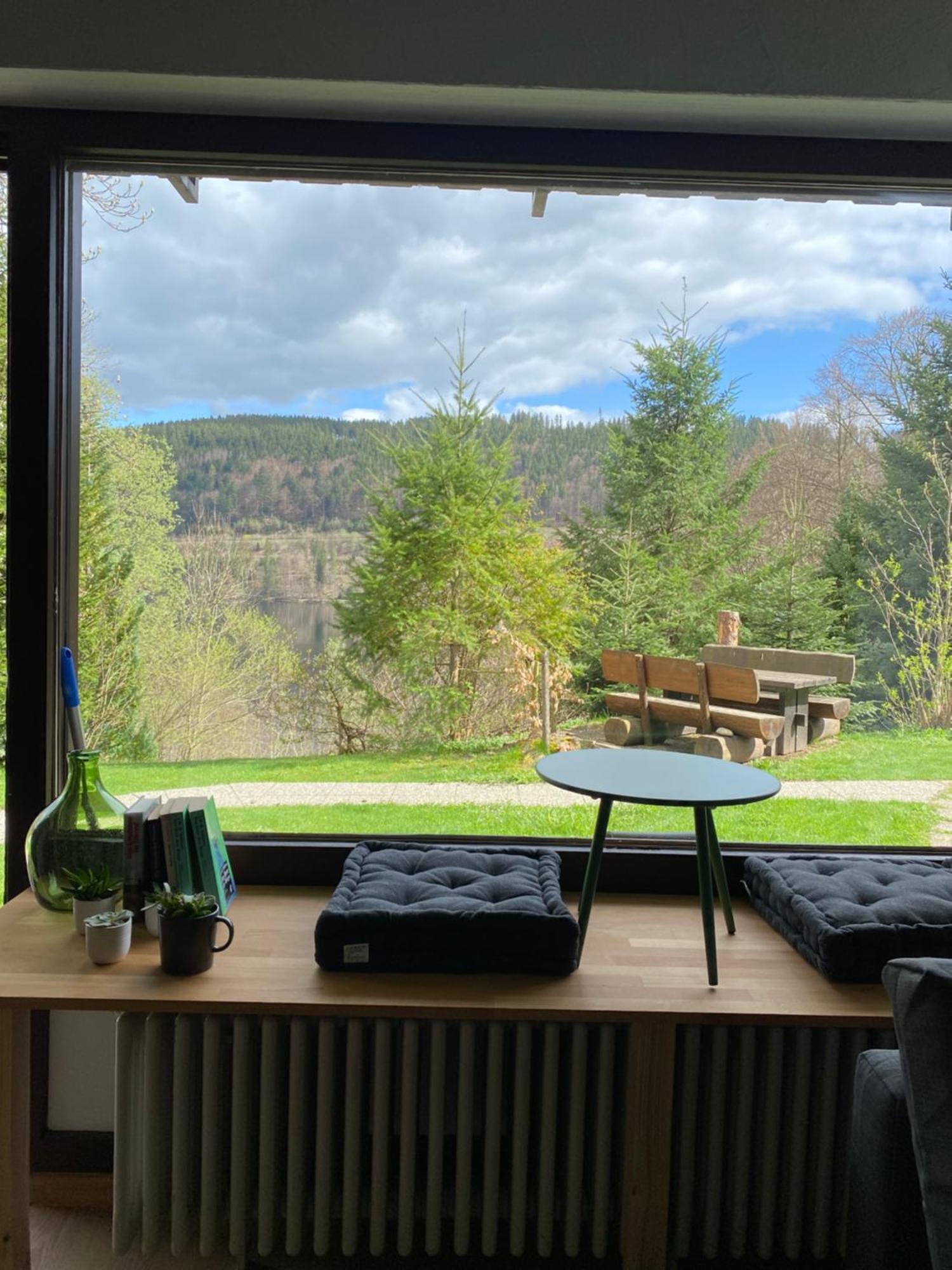 Black Forest Apartments Titisee Екстериор снимка