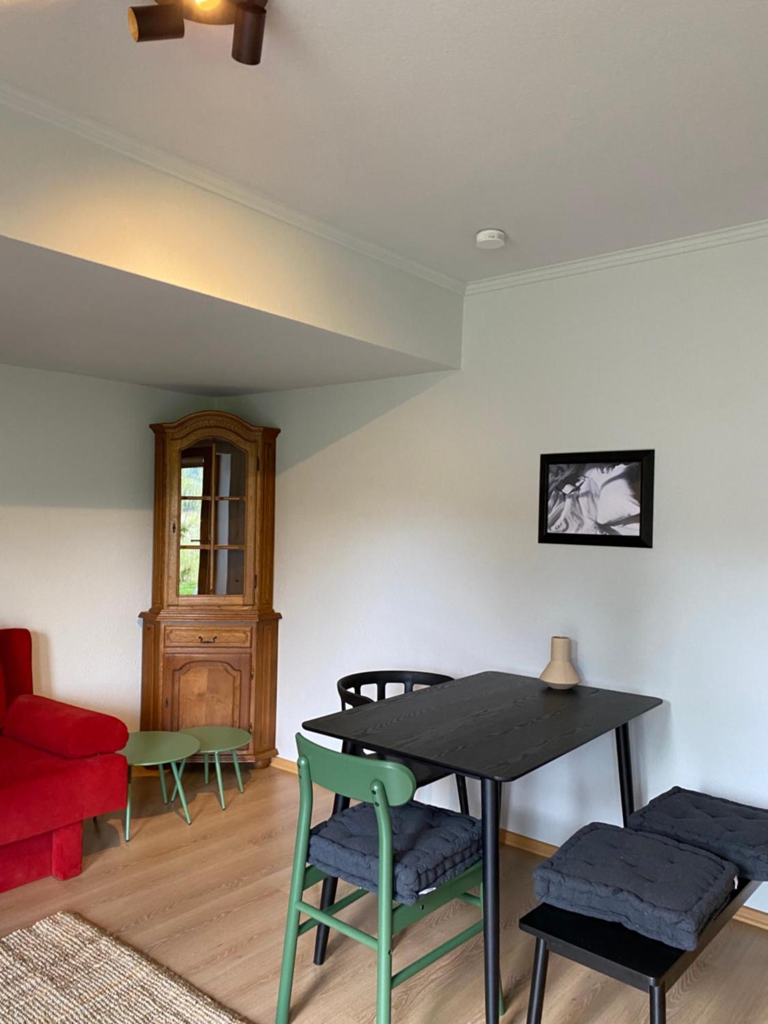 Black Forest Apartments Titisee Екстериор снимка