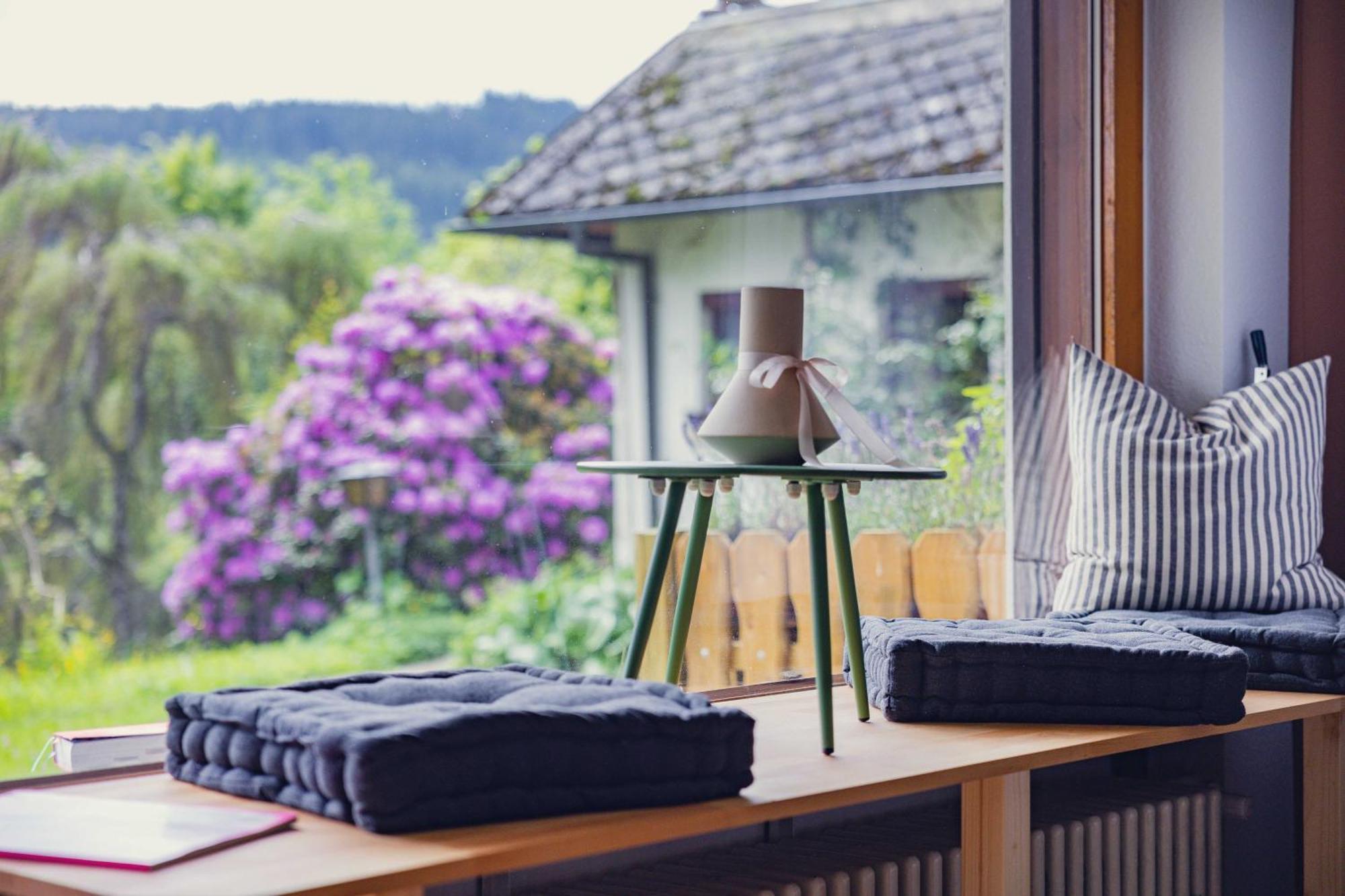 Black Forest Apartments Titisee Екстериор снимка